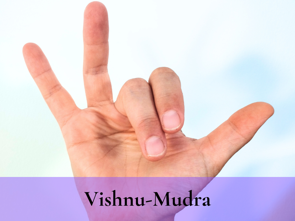 Vishnu Mudr Terra Kundalini