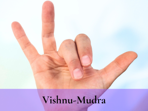 Vishnu Mudra