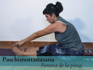 Pashchimottanasana o Postura de la Pinza